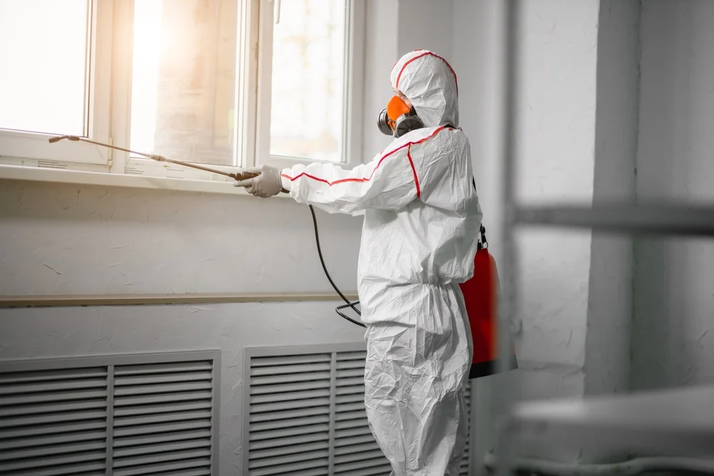 Professional mold remediation services in Polk, OH